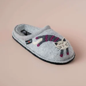 Haflinger - Katze - Grey