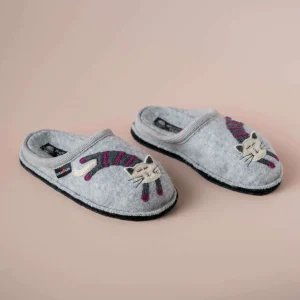 Haflinger - Katze - Grey