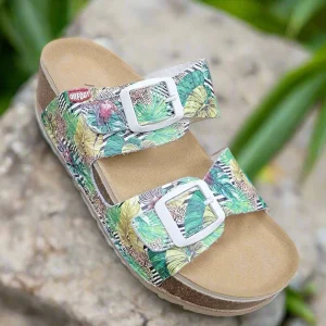ON FOOT - BALTIMORE - BOTANICA